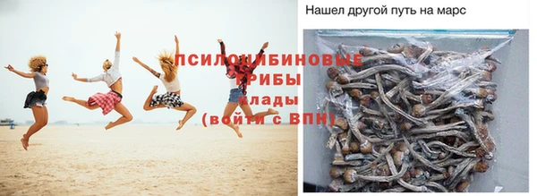 винт Чегем