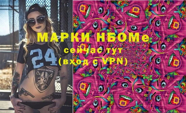 винт Чегем