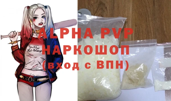 винт Чегем
