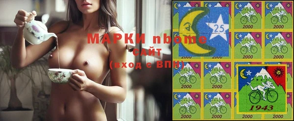 винт Чегем